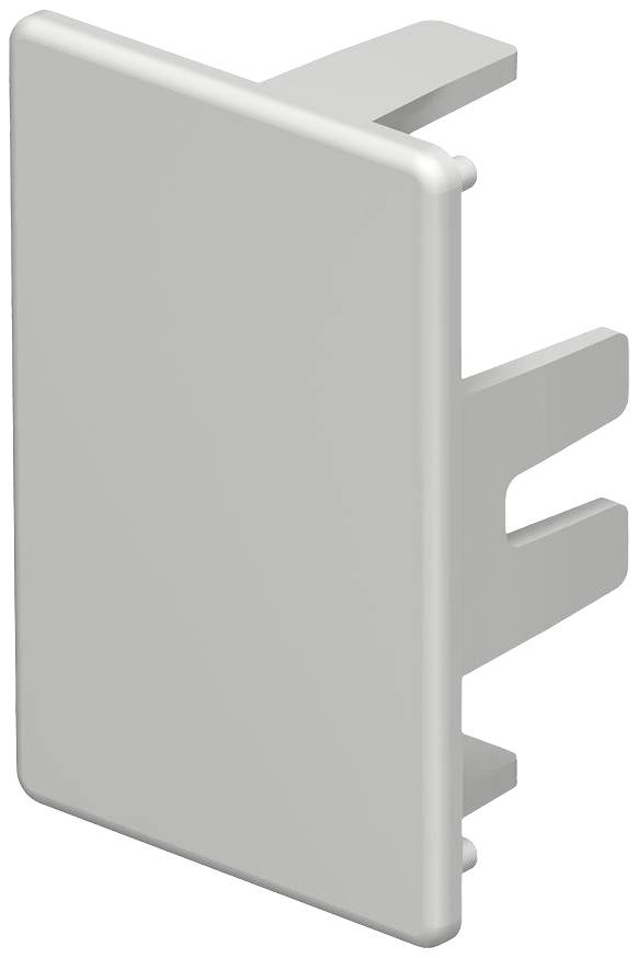 Weiße Kunststoffabdeckung mit rechteckiger Form und zwei Befestigungsstiften, möglicherweise für elektrische Schalter oder Steckdosen.