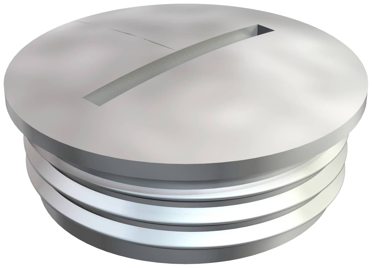 Runder, metallischer Verschluss mit Schlitzoberfläche, wahrscheinlich eine Schraube oder ein Deckel.