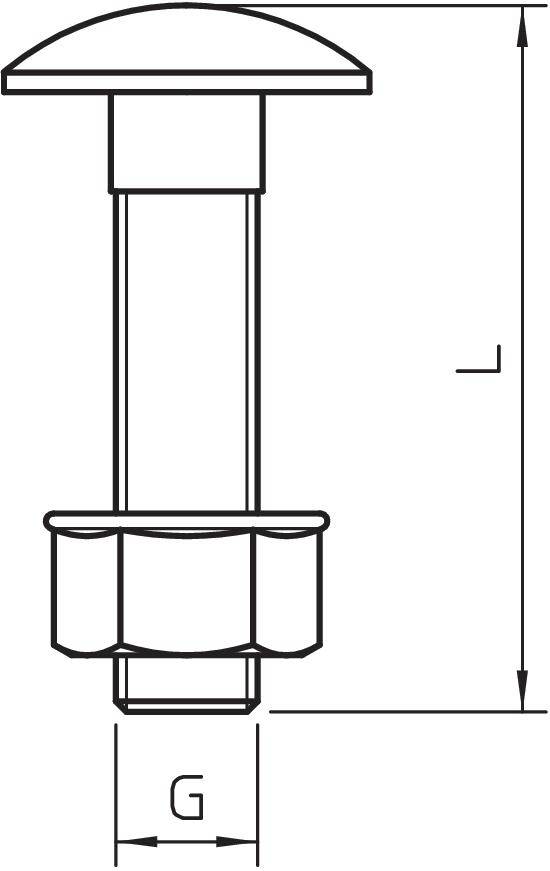OBO Bettermann FRSB 10x25 VA 3175625 Flachrundschraube 10mm 25mm Stahl nicht rostend 50St.