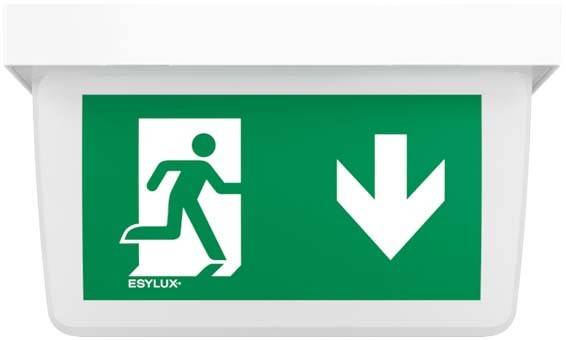 ESYLUX EN10077326 Fluchtweg-Notbeleuchtung Deckenmontage runter