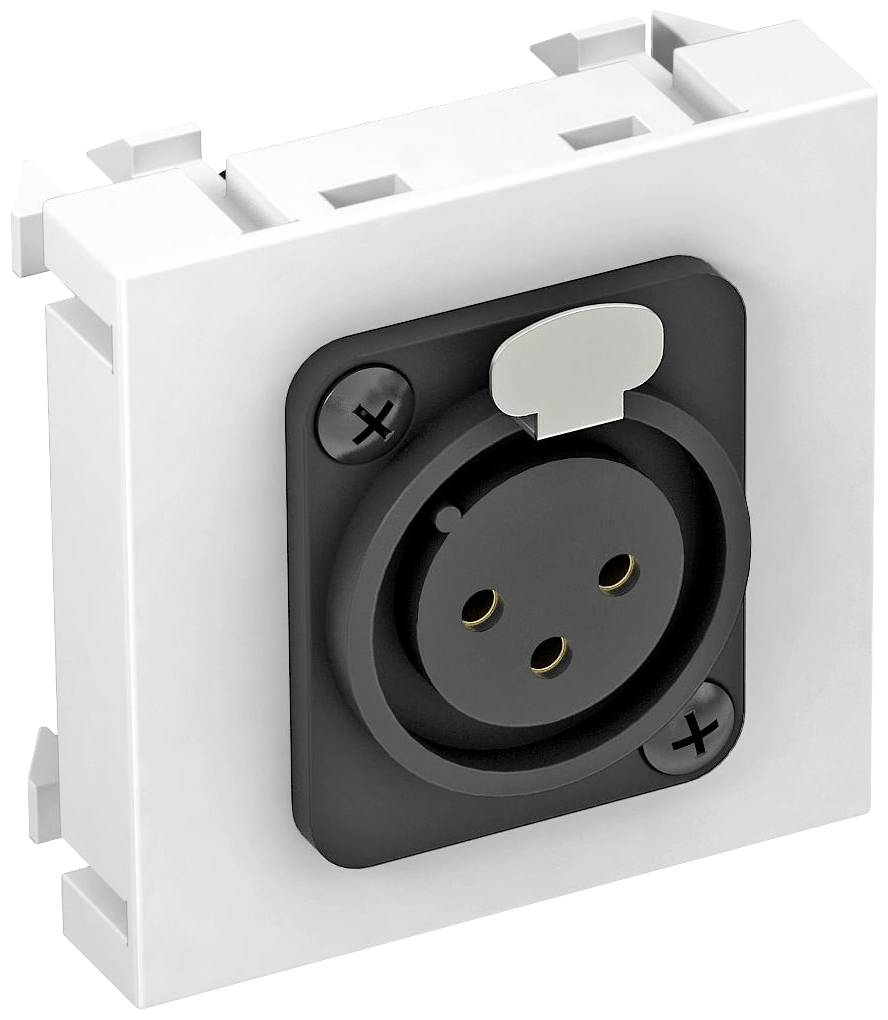 Eine weiße elektrische Wandsteckdose mit schwarzer Anschlussbuchse und drei Stecklöchern, an zwei Stellen verschraubt.
