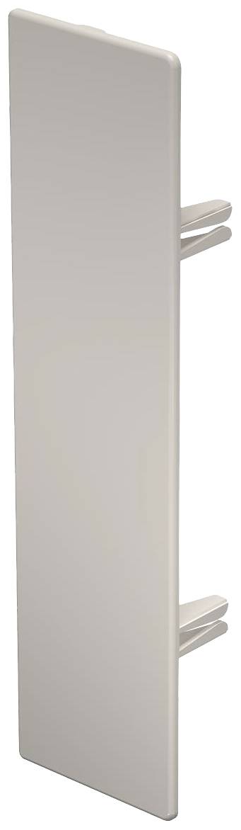 Ein weißes, rechteckiges Kunststoffteil mit zwei parallelen Befestigungsstiften, vermutlich ein Teil eines modularen Systems oder Möbelstücks.