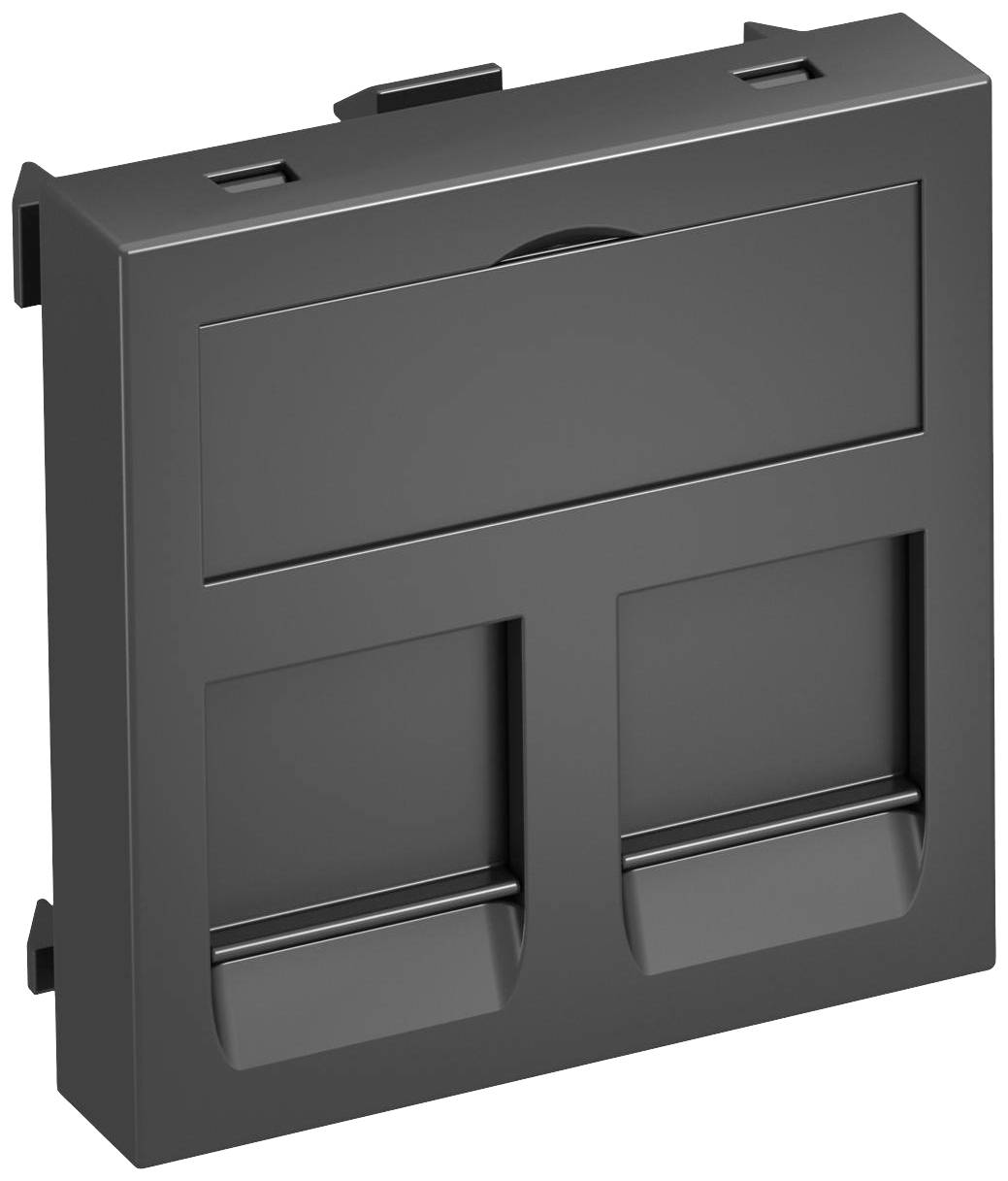 Ein schwarzes Plastikmodul mit zwei Steckplätzen. Es erscheint als Teil eines Netzwerkschranks oder einer Anschlussdose.