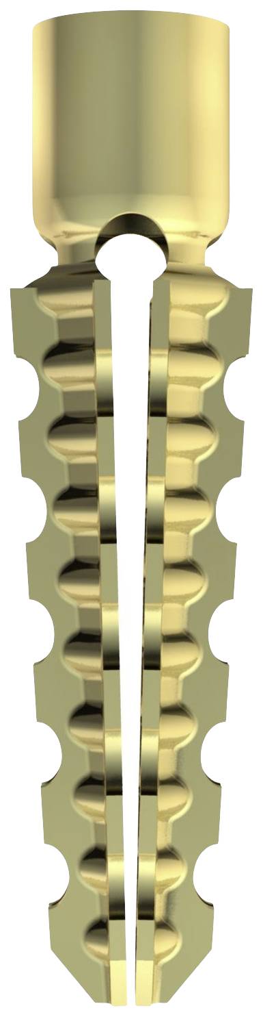 Goldfarbene, gezackte Metallkomponente mit zylindrischem Kopf und schmalem, länglichem Körper, ähnlich einer Schraube oder einem Implantat.
