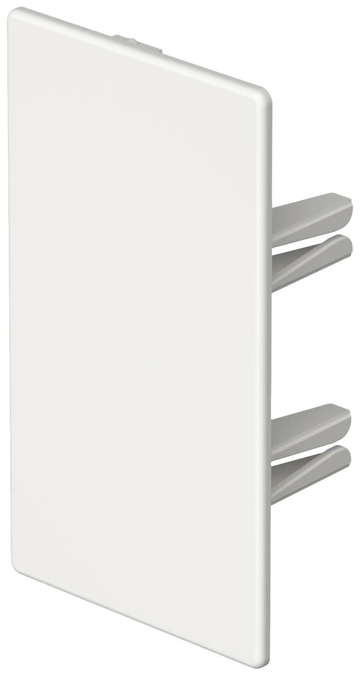 Weiße, rechteckige Abdeckblende mit drei Befestigungsstiften, mögliches Zubehör für Steckdosen oder Schalter, seitlich abgebildet.
