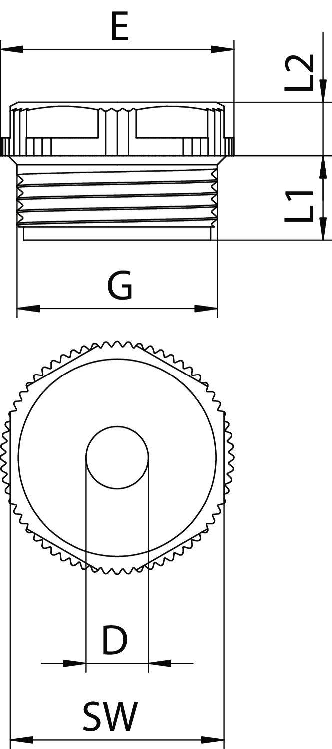 Technische Zeichnung eines runden Bauteils mit Gewinde. Zeigt Maße: E, L1, L2, G, D, SW. Draufsicht und Seitenansicht dargestellt.
