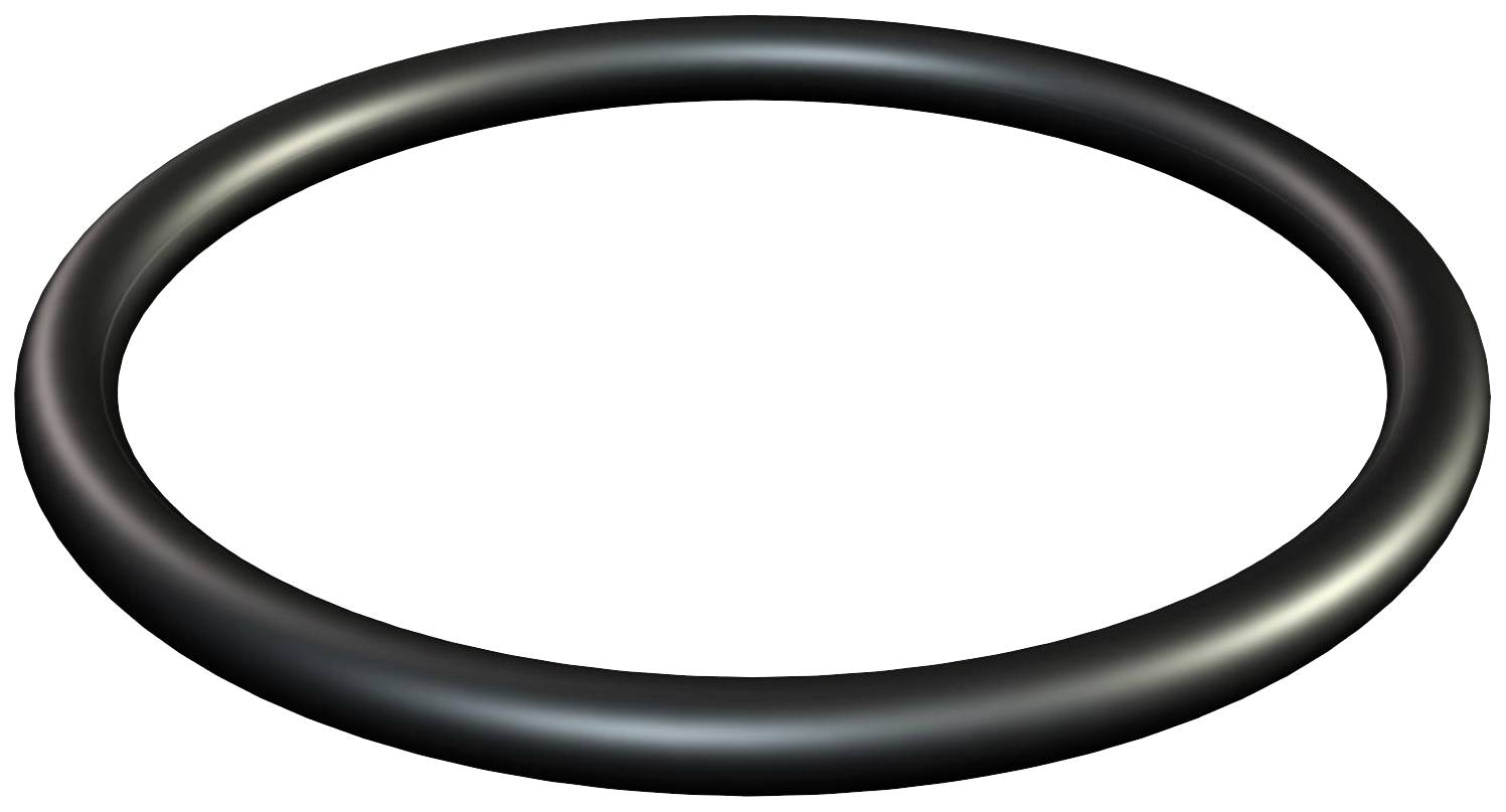 Ein schwarzer, runder O-Ring auf weißem Hintergrund, ähnlich einem Dichtungsring aus Gummi.