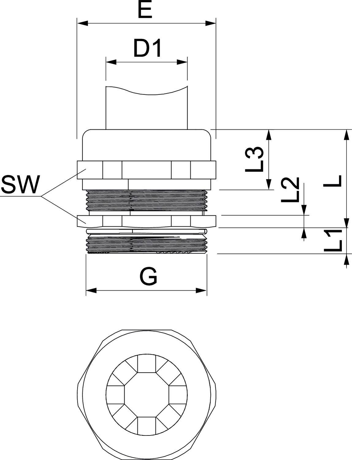 Technische Zeichnung einer Verschraubung mit Maßangaben: Durchmesser D1, E, L, L1, L2, L3 und SW. Ansicht von Seite und oben.