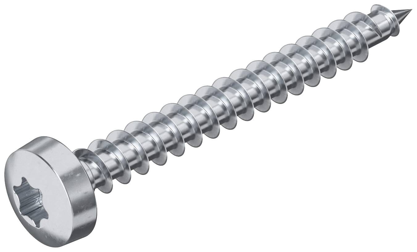 Eine Metallschraube mit rundem Kopf und sternförmigem Schraubenschlitz vor weißem Hintergrund.