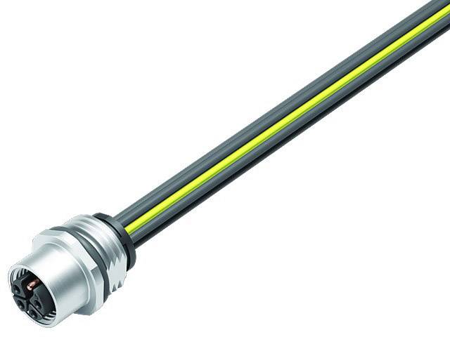 Ein M12-Steckverbinder mit einem mehradrigen Kabel, oft verwendet in industriellen Anwendungen für Sensorverbindungen und Automatisierung.