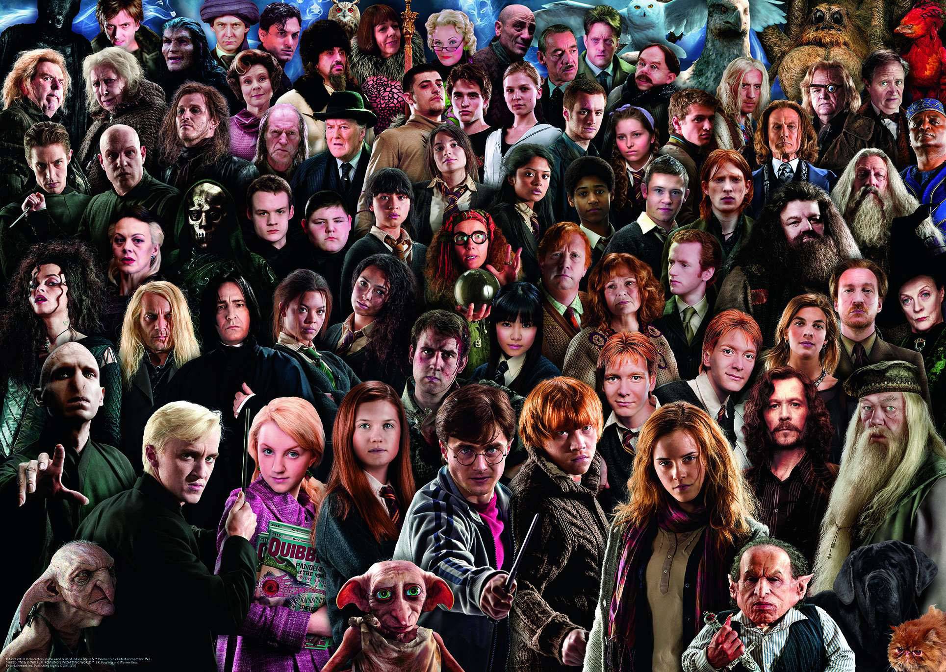 Harry Potter Puzzle 14988 Harry Potter Puzzle 1 St.