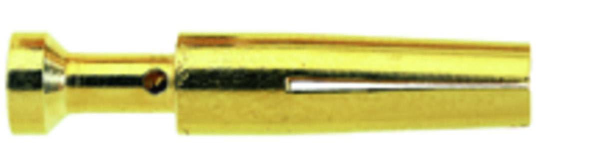 Ein goldenes Metall-Mundstück, typischerweise verwendet in mechanischen oder elektronischen Verbindungen.