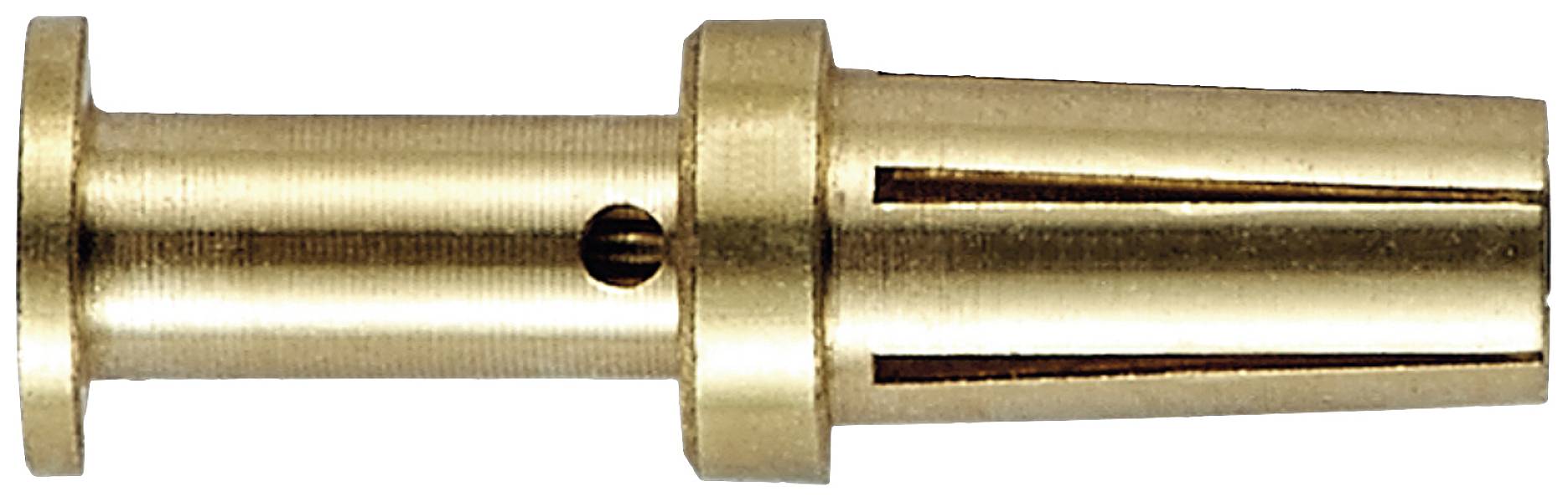 Metallhülse mit zylindrischem Körper und schmalerem, gerilltem Ende. Oberflächen in glänzendem Goldton.