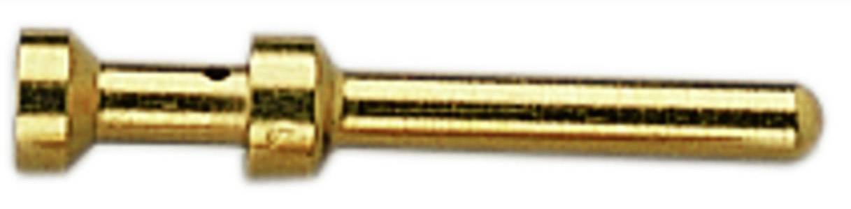 Ein goldener Metallstift, wahrscheinlich ein elektrischer Kontaktstift, liegt horizontal auf weißem Hintergrund.