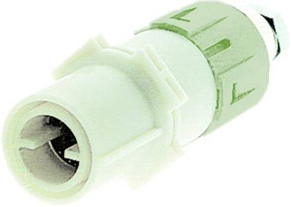 Ein weißer und grüner Audio-Stecker mit Drehverschlussmechanismus, typisch für Lautsprecherverbindungen in der Veranstaltungstechnik.