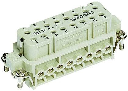 Steckerverbinder, Han 16A, 16-polig, 6mm; Made in Germany; Type: 16/250/4kV3; Schraubanschlüsse und Befestigungsschrauben sichtbar.