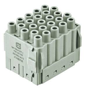 Mehrpoliger Steckverbinder in grauer Farbe, geeignet für industrielle Anwendungen. Zeigt Anordnung der Steckkontakte und Gehäusedetails.