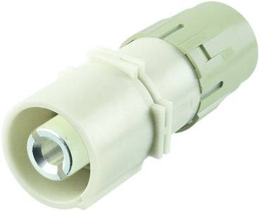 Ein Kunststoffrohradapter mit Metallverbindung, verwendet in Rohrinstallationen.