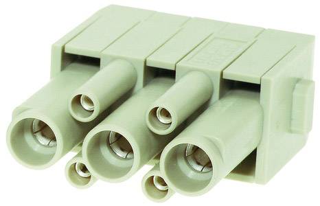 Dreipoliger, grüner Steckverbinder, Seitenansicht. Verwendet für elektrische Verbindungen in Geräten. Kunststoffgehäuse.