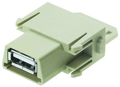 Ein beige USB-Adapter mit Metallanschluss liegt auf weißem Hintergrund. Der Adapter ist rechteckig und aus Kunststoff gefertigt.