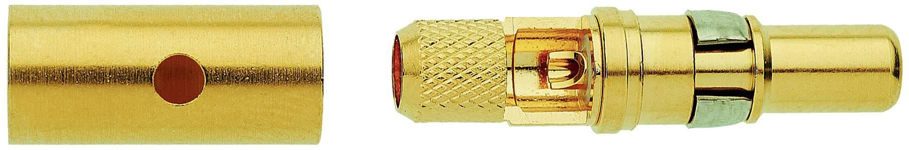Zwei goldene Metallkomponenten nebeneinander. Links ein glatter Zylinder mit rotem Punkt, rechts ein komplexerer Adapter mit mehreren Steckverbindungen.