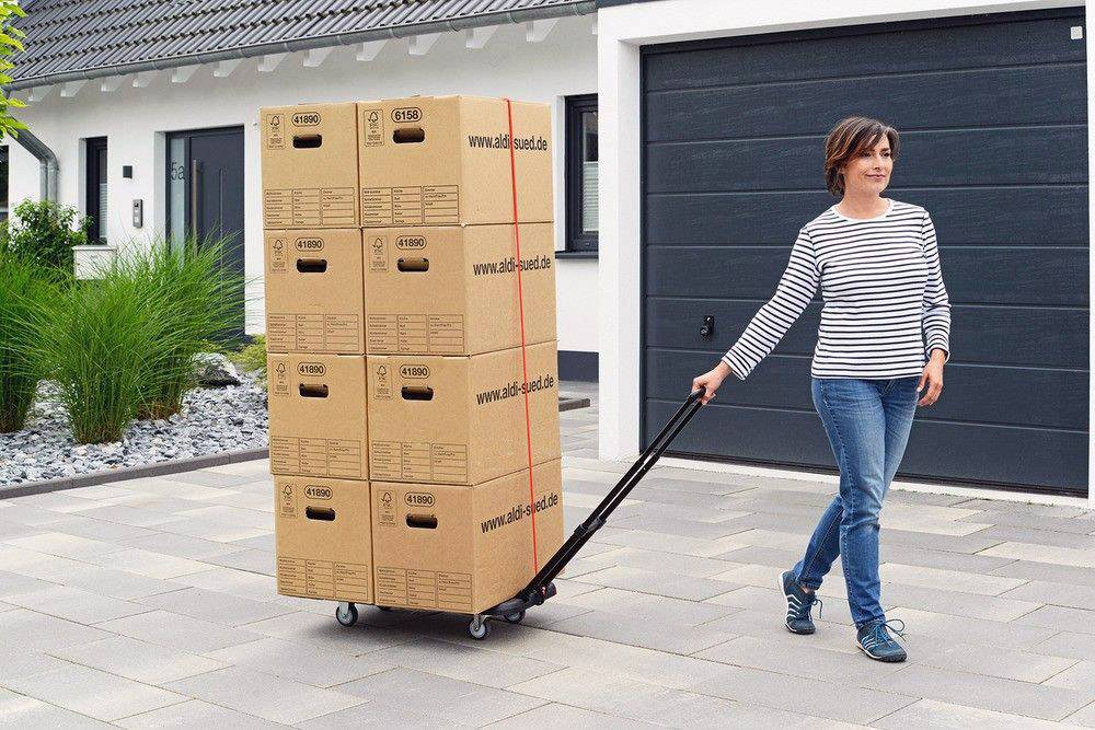 Wenko 88060500 Transport-Profi Transportwagen Stahl, Thermoplastischer Kunststoff, Polypropylen Schwarz, Silber