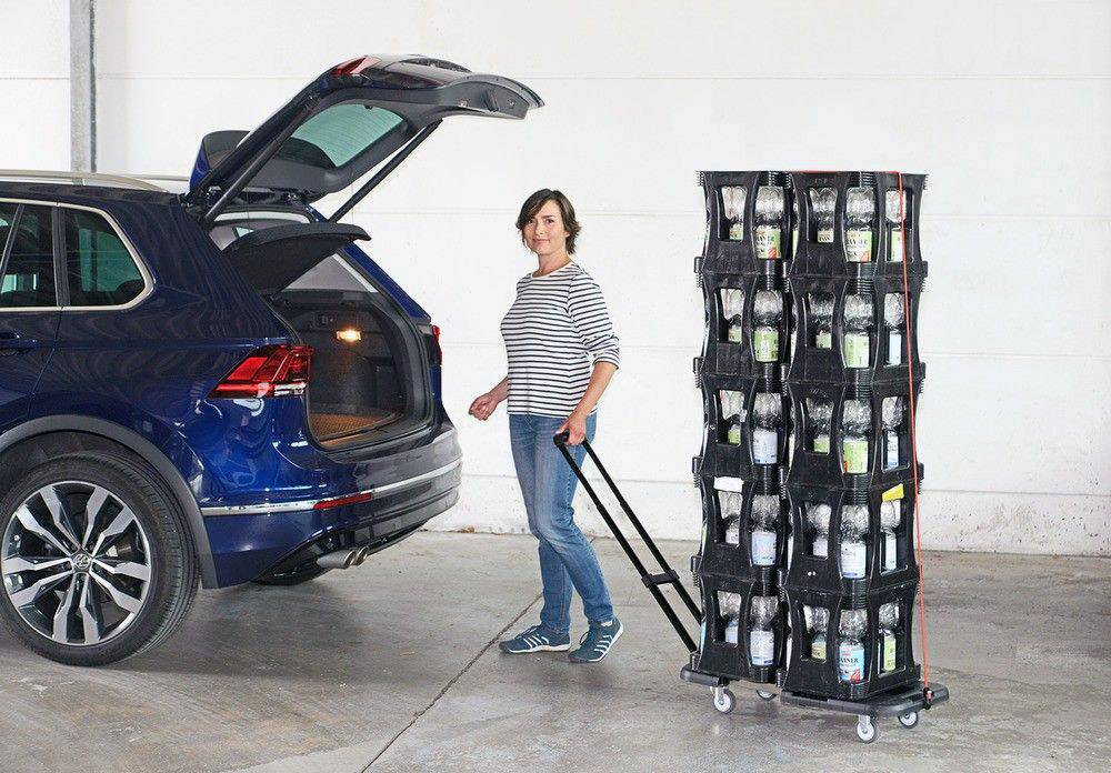 Wenko 88060500 Transport-Profi Transportwagen Stahl, Thermoplastischer Kunststoff, Polypropylen Schwarz, Silber