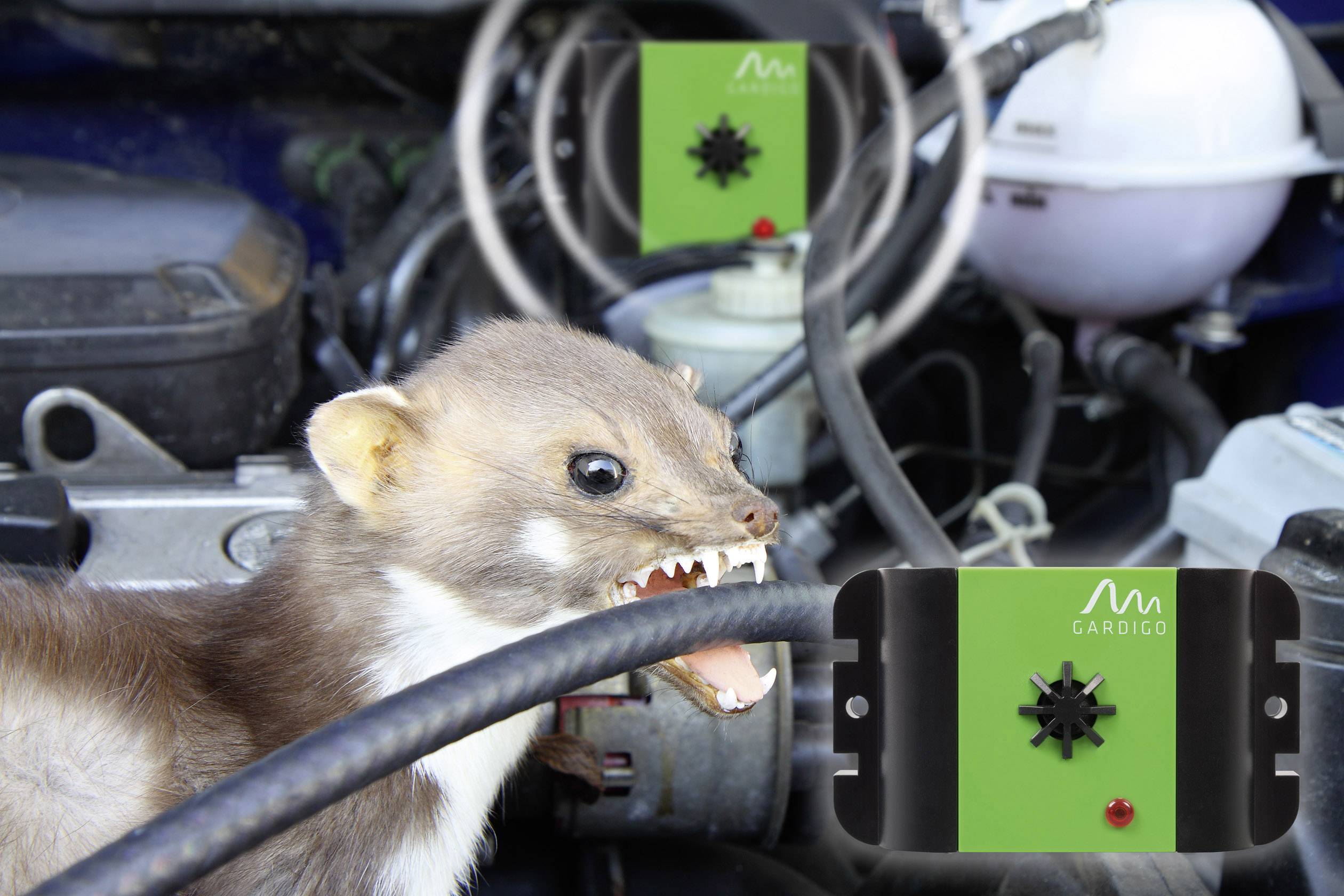 Gardigo Mobil Ultra Marderabwehr Funktionsart Ultraschall Wirkungsbereich 40m² 1St.