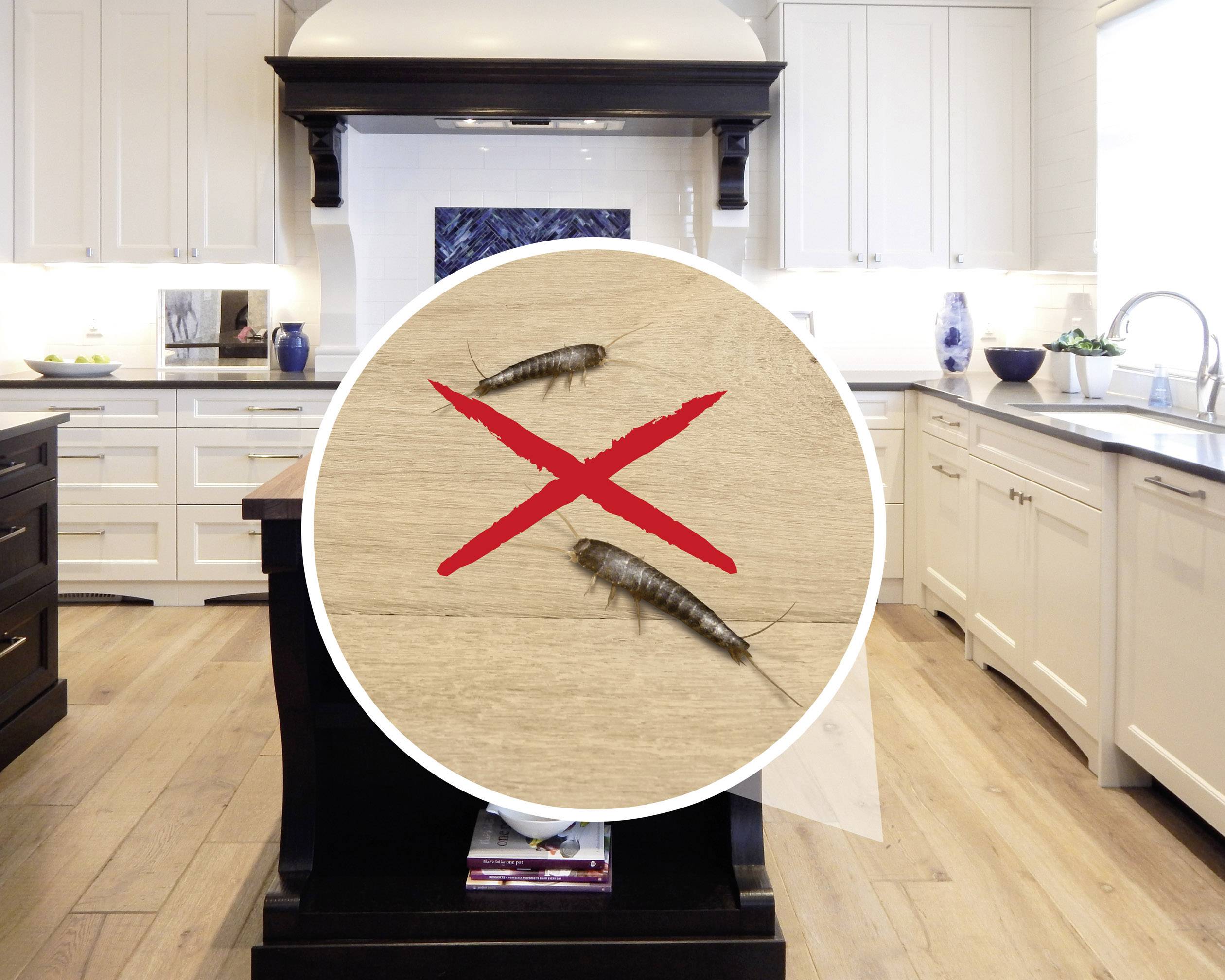 Gardigo silverfish defense Schädlingsvertreiber Funktionsart Ultraschall Wirkungsbereich 25 m² 1 St.