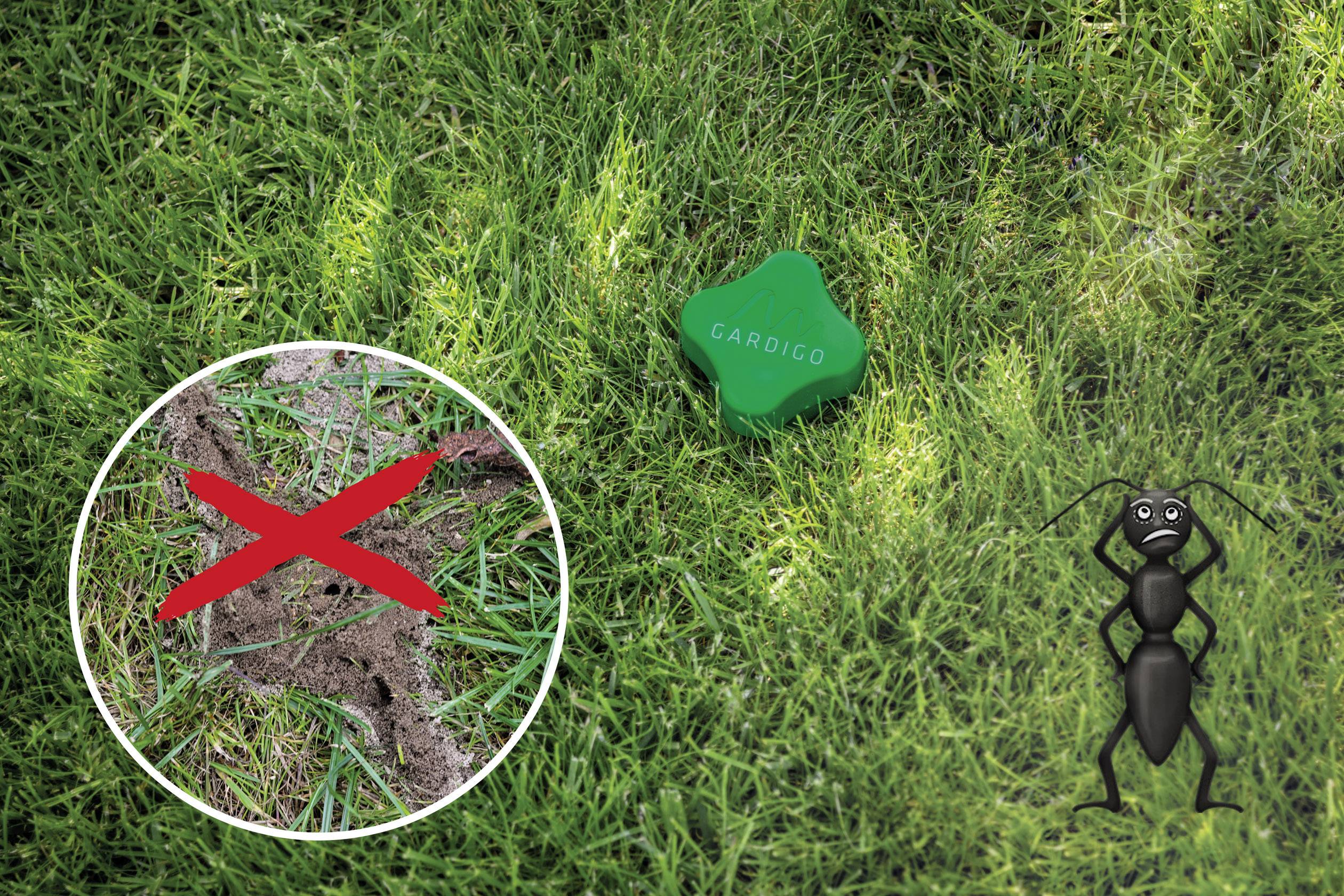 wühlmaus vibration EWENYS Maulwurf Vertreiber Solar Vibration Ultraschall Ohne Ton 4 Stück,  Maulwurfschreck Vibration Testsieger Beste Wasserdicht Wühlmäuse Gegen  Maulwurf, Maulwurfabwehr im Garten : Amazon.de: Garten main image 0