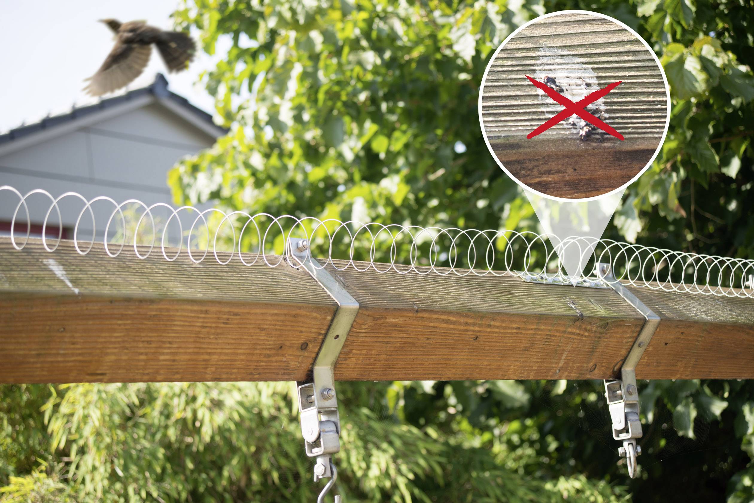 Ein Vogeldrahtschutz verhindert, dass ein Vogel auf einem Holzbalken landet. Ein rotes X über einem Vogeldraht zeigt die Funktion.