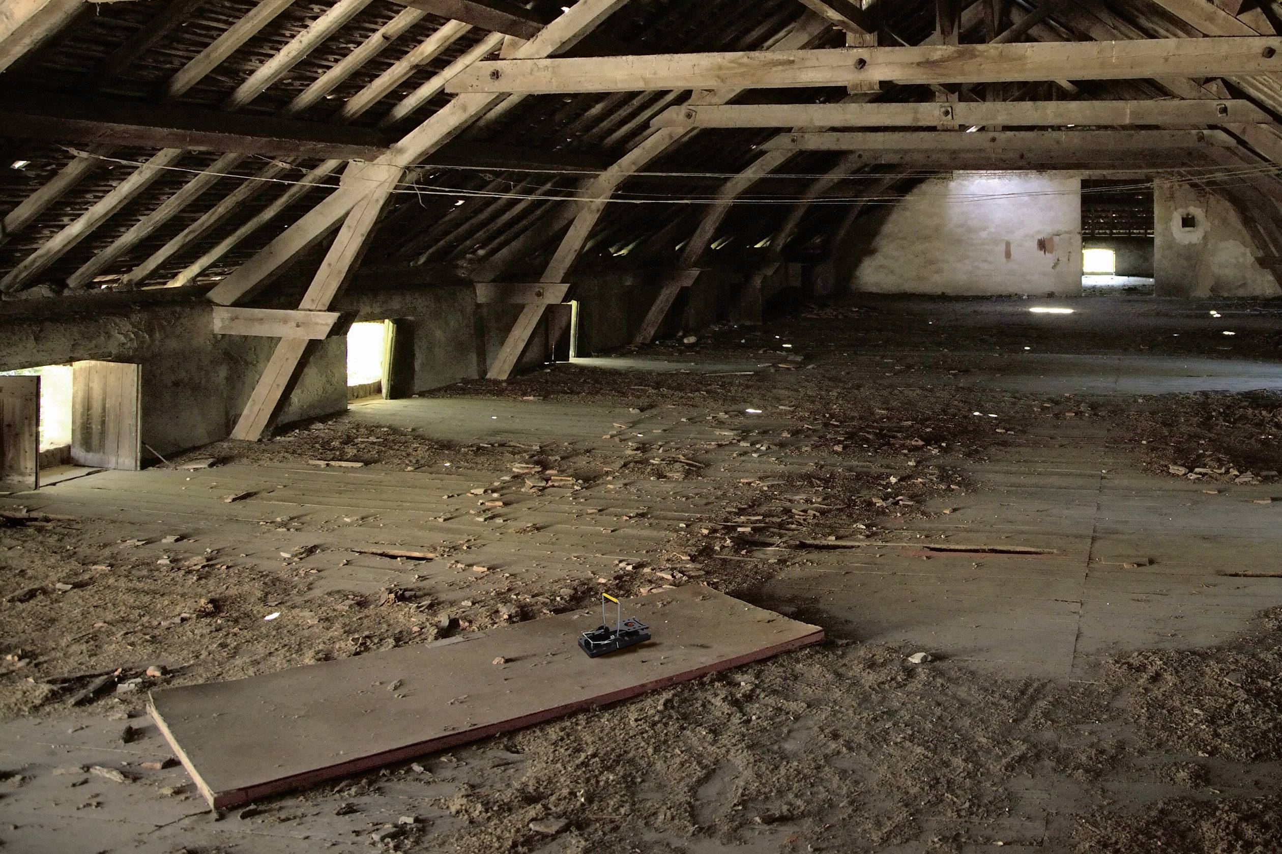 Gardigo rat trap Rattenfalle Funktionsart Lockstoff 5St.