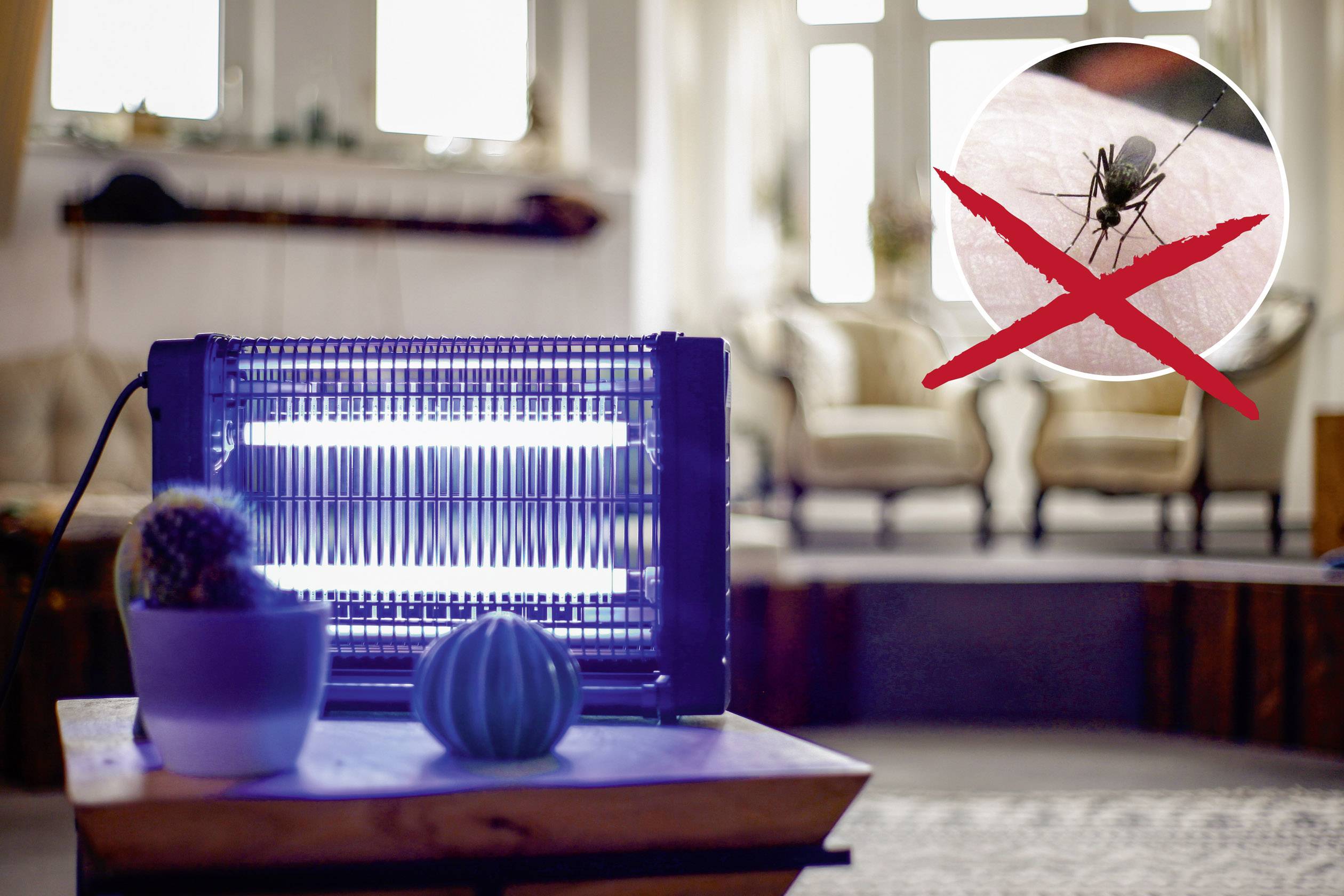 Gardigo Profi 70 62404 UV-Insektenfänger 16W (B x H x T) 392 x 265 x 100mm Schwarz 1St.