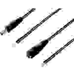 BKL Electronic 075218 Câble de raccordement basse tension DC femelle, DC mâle - extrémité(s) ouverte(s) 5.50 mm 2.50 mm 2.50 mm