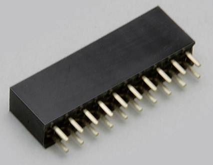 Ein schwarzer, rechteckiger Stecker mit vielen goldfarbenen Pins auf der Unterseite, genutzt für elektronische Verbindungen.