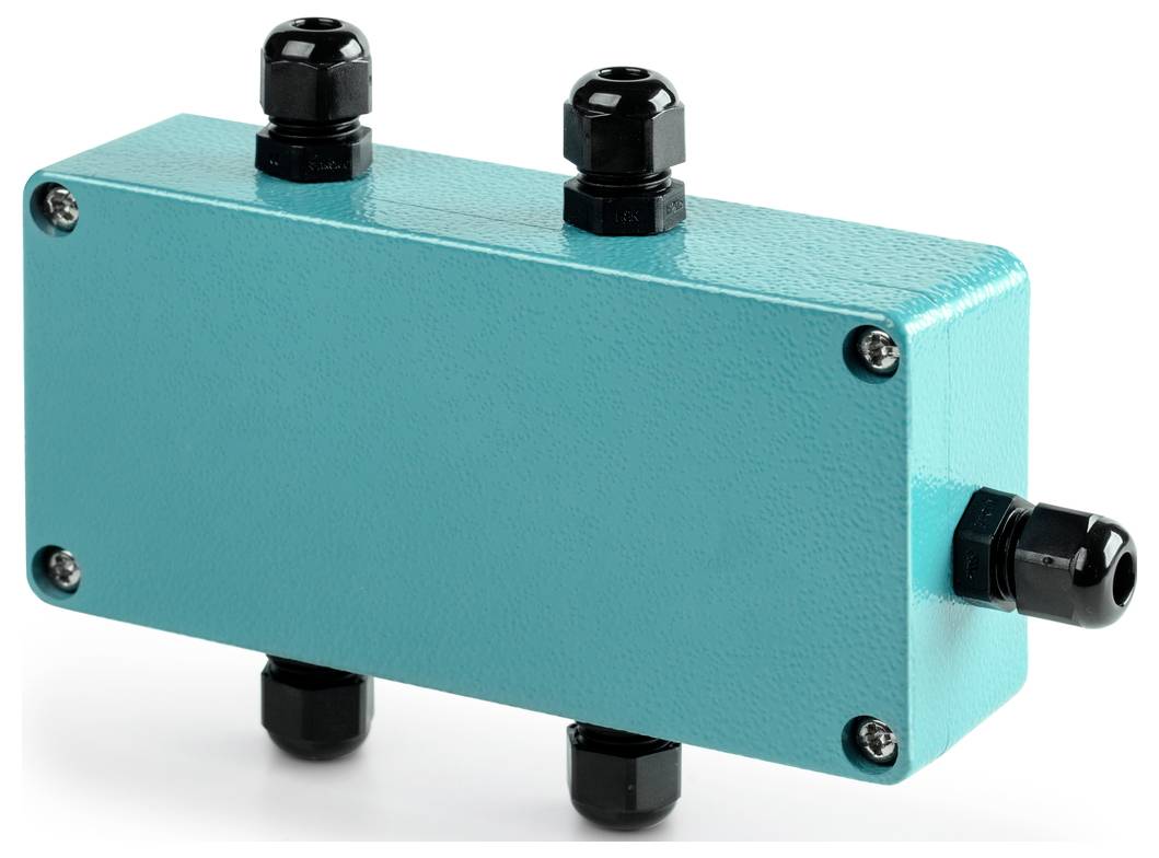 Sauter CJ P4PG CJ P4PG Junctionbox CJ-P