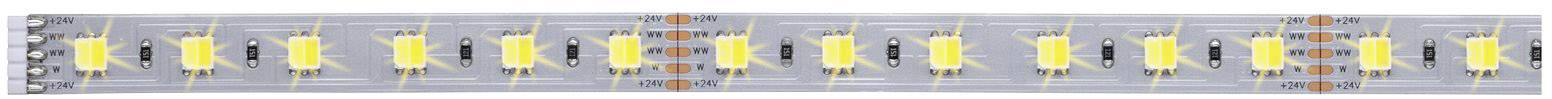 Paulmann MaxLED 70566 LED-Streifen-Erweiterung mit Stecker 24V 1m Warmweiß, Neutralweiß, Tageslichtweiß 1St.