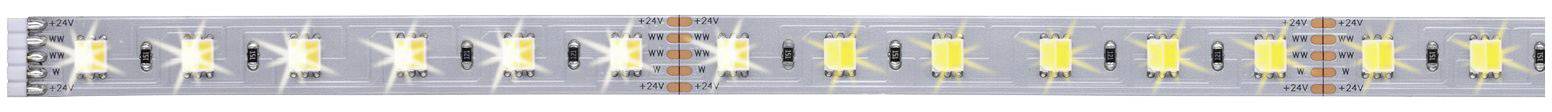 Paulmann MaxLED 70566 LED-Streifen-Erweiterung mit Stecker 24V 1m Warmweiß, Neutralweiß, Tageslichtweiß 1St.