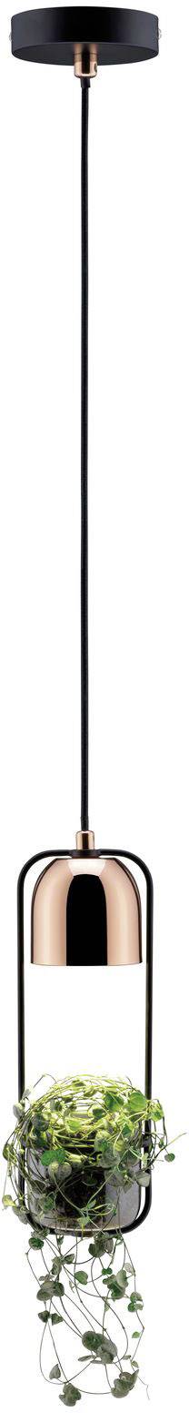 Paulmann Fanja 79749 Pendelleuchte GU10 20W Kupfer, Schwarz
