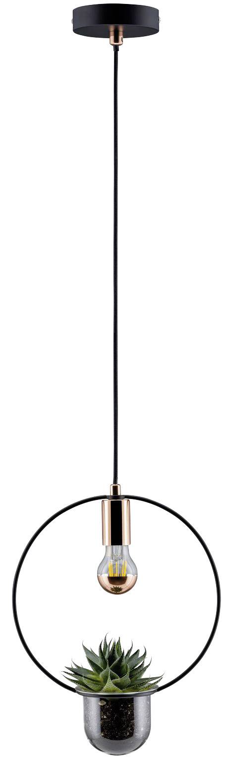 Paulmann Tasja 79748 Pendelleuchte E27 20W Kupfer, Schwarz
