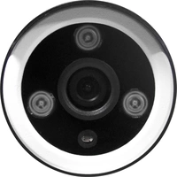 Avidsen 123981 WLAN IP Überwachungskamera 1280 x 720 Pixel Avidsen 123981 WLAN IP Überwachungskamera 1280 x 720 Pixel