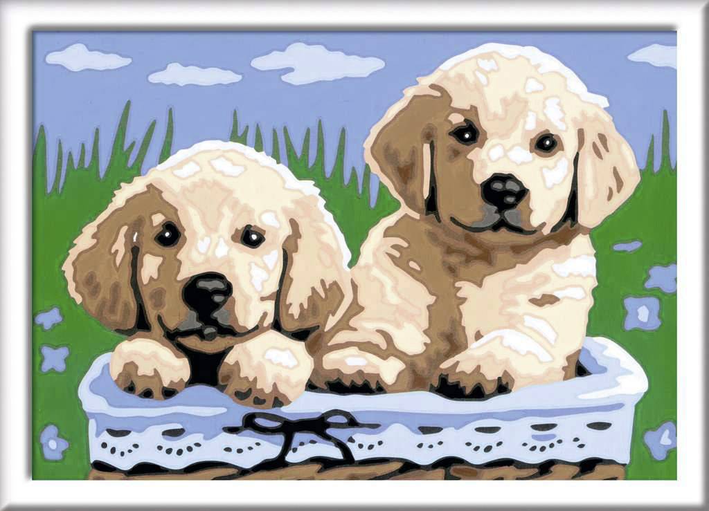 Malen nach Zahlen - Süße Hundewelpen