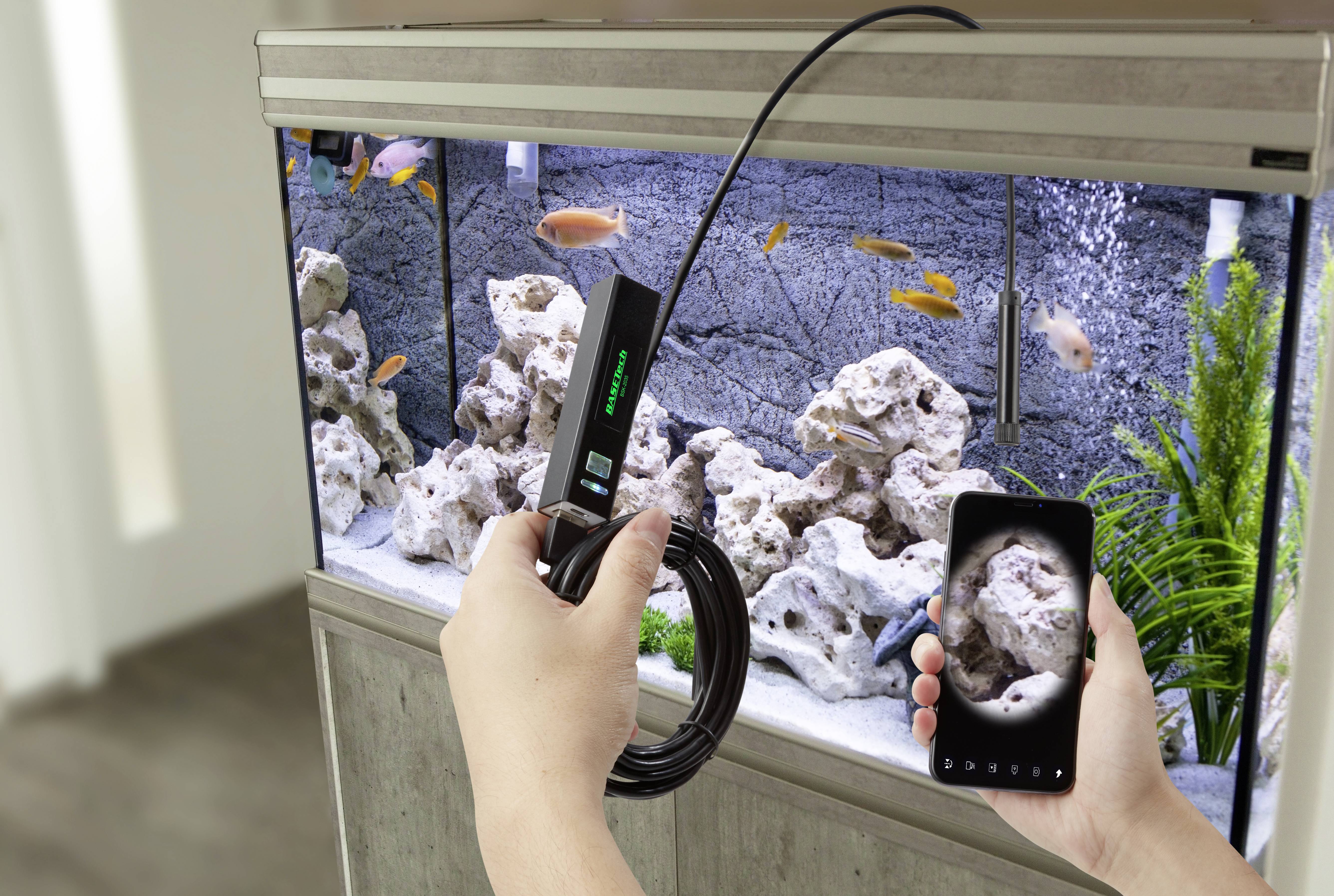 Person hält ein Endoskop und zeigt den Bildschirm eines Smartphones mit dem Bild eines Aquariums, in dem Fische schwimmen.
