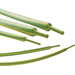 Hongshang 10330 Schrumpfschlauch ohne Kleber Gelb, Grün 4.80 mm 2.40 mm Schrumpfrate:2:1 Meterware