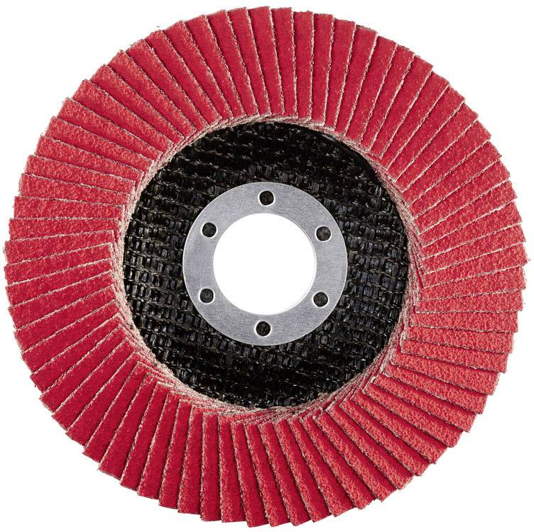 Rhodius 210276 LSK FK Fächerschleifscheibe Durchmesser 115mm Bohrungs-Ø 22.23mm Edelstahl