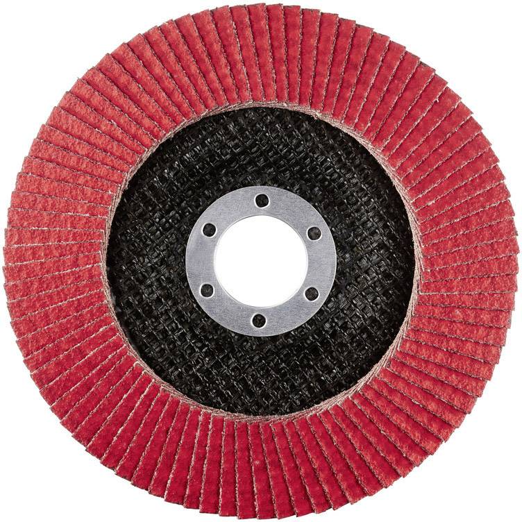 Rhodius 210184 LSK FK Fächerschleifscheibe Durchmesser 125mm Bohrungs-Ø 22.23mm Edelstahl