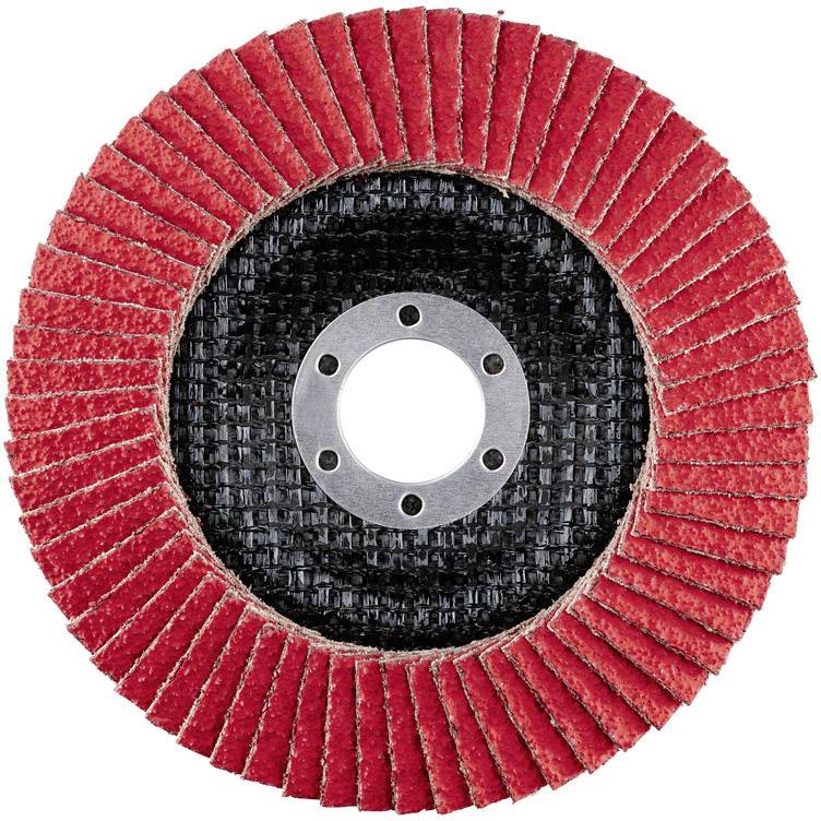 Rhodius 210182 LSK FK Fächerschleifscheibe Durchmesser 125mm Bohrungs-Ø 22.23mm Edelstahl