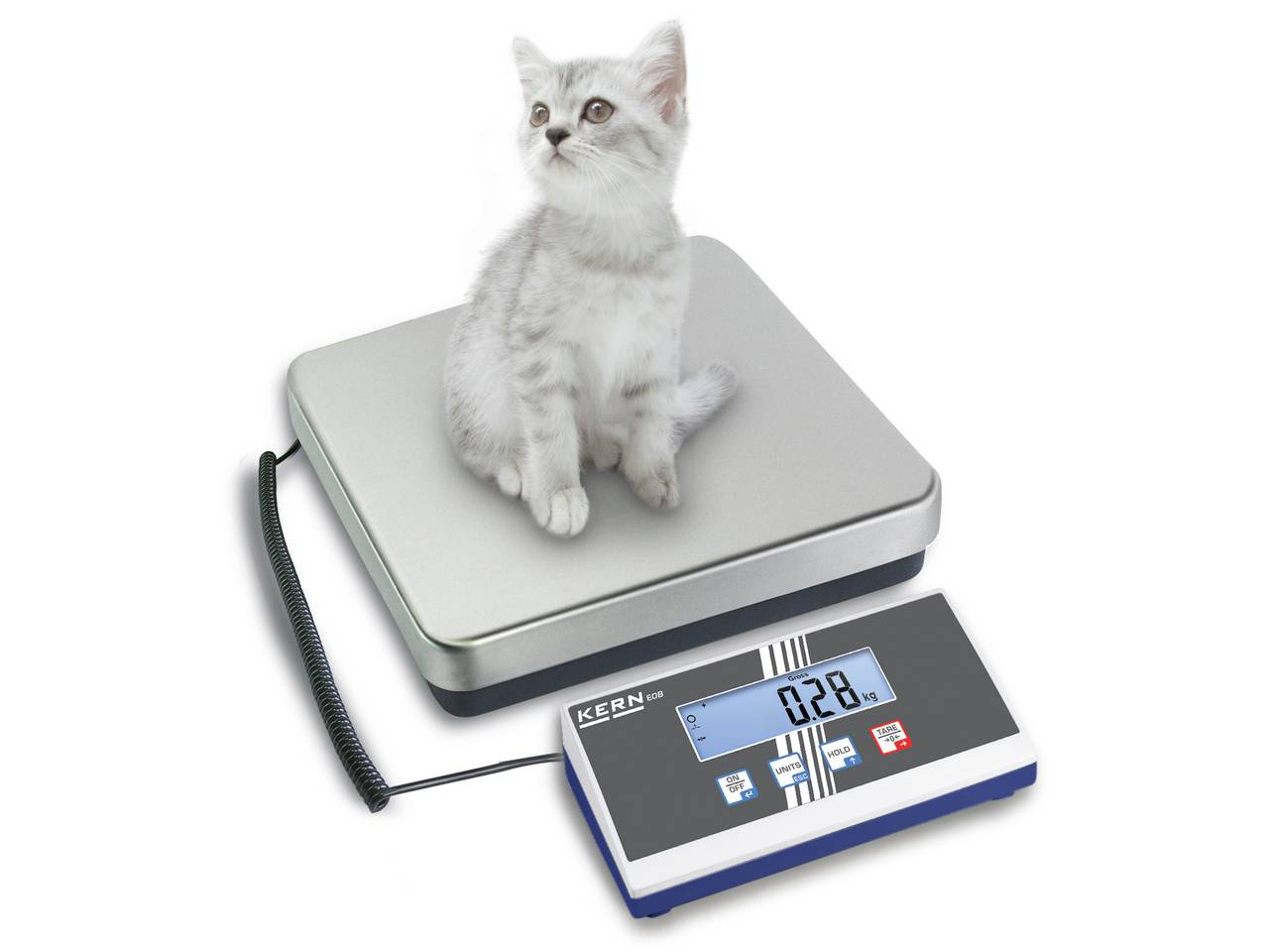 Eine kleine, graue Katze sitzt auf einer digitalen Waage, die ein Gewicht von 0,28 kg anzeigt.
