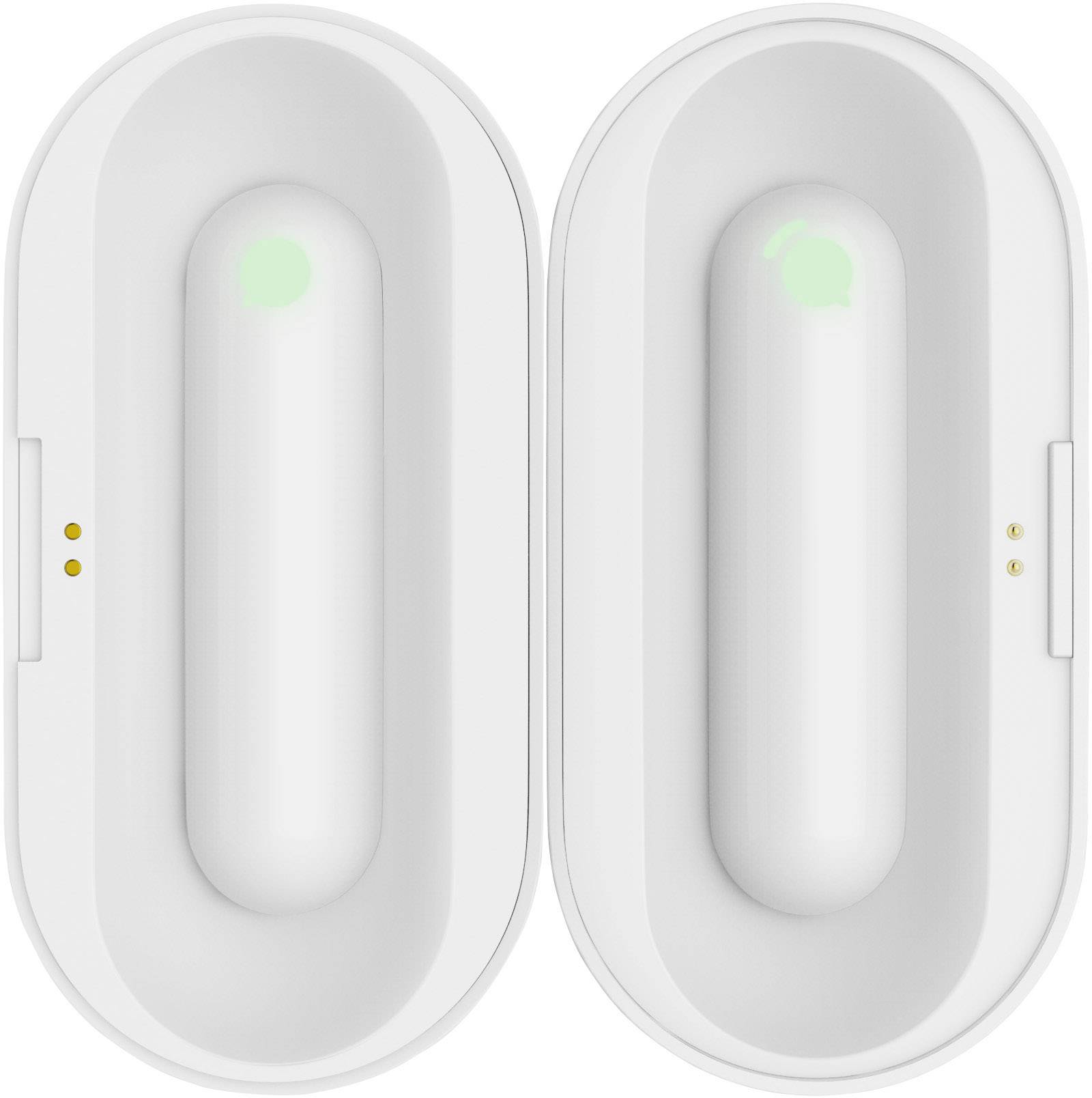 Timekettle Mobiler Dolmetscher WT2 Plus Deutsch, Englisch, Niederländisch, Italienisch, Spanisch, Französisch, Portugiesisch