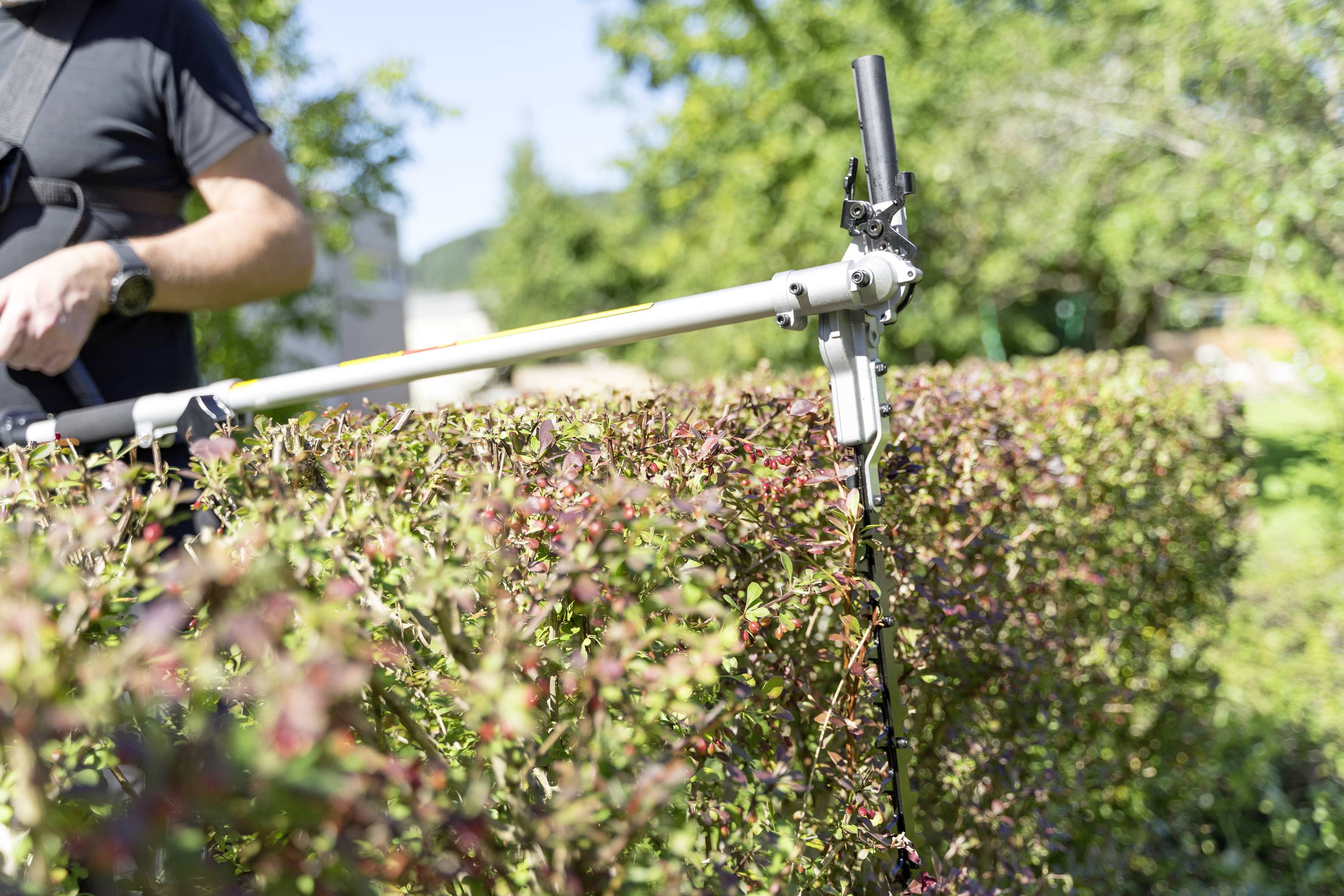 Mann schneidet Hecke mit elektrischer Heckenschere an einem sonnigen Tag. Sträucher im Vordergrund, Bäume im Hintergrund.